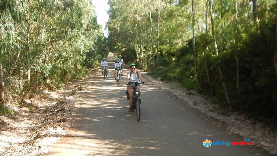 Bike tour in Porto Conte Natural Park: a di-wine experience!